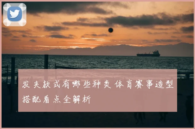 发夹款式有哪些种类 体育赛事造型搭配看点全解析