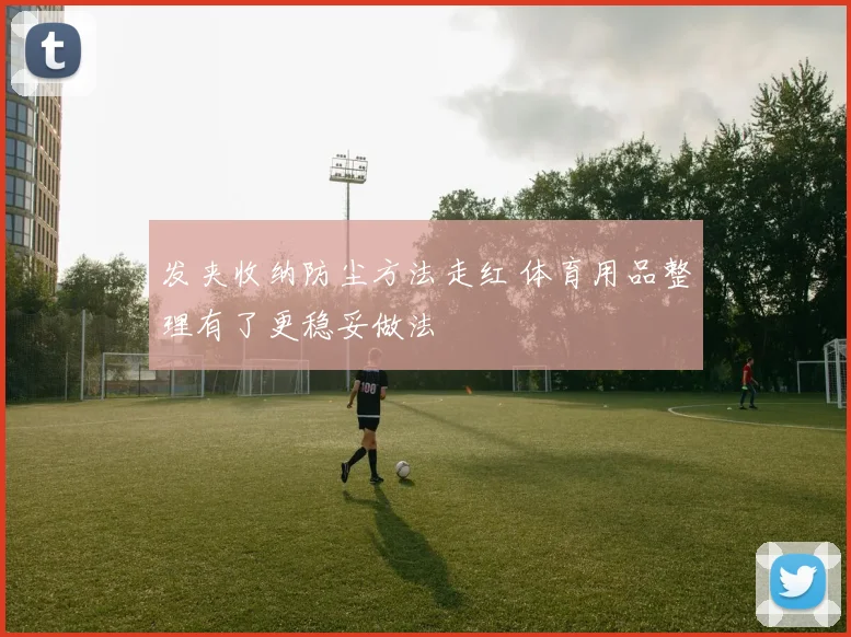 发夹收纳防尘方法走红 体育用品整理有了更稳妥做法